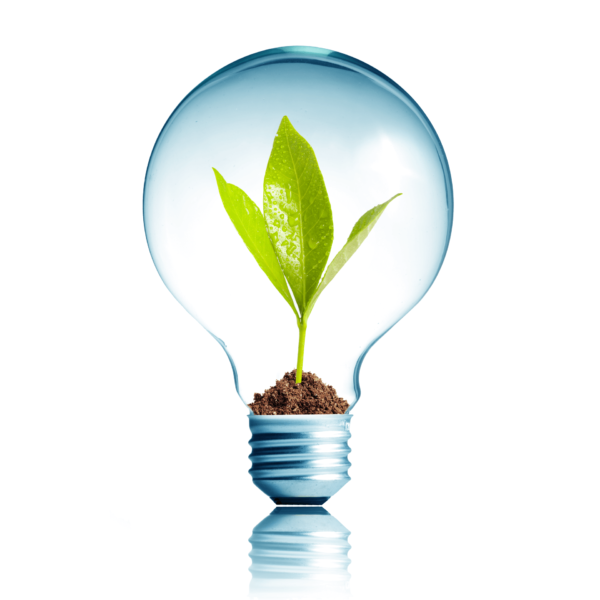 forum-energia-rr-bg2